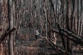 Children in the forest where a hurricane tumbled down a lot of trees