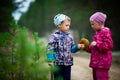 children found a mushroom in the forest, selective focus