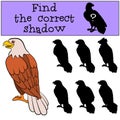 Children games: Find the correct shadow. Cute bald eagle sits smiles.