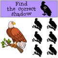 Children games: Find the correct shadow. Cute bald eagle sits on the tree branch.