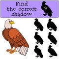 Children games: Find the correct shadow. Cute bald eagle smiles.