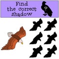 Children games: Find the correct shadow. Cute bald flying eagle.