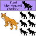 Children games: Find the correct shadow. Cute beautiful lynx. Royalty Free Stock Photo