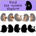 Children games: Find the correct shadow. Hedgehog. Royalty Free Stock Photo