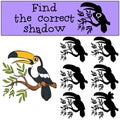 Children games: Find the correct shadow. Little cute toucan.