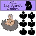 Children games: Find the correct shadow. Mother hedgehog with her little cute baby hedgehog.
