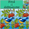 Children Games: Find Differences. Cute Little Titmouse.