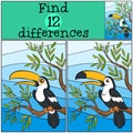 Children games: Find differences. Cute little toucan. Royalty Free Stock Photo