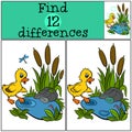 Children games: Find differences. Little cute duckling.