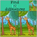 Children games: Find differences. Little cute giraffe.