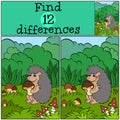 Children games: Find differences. Little cute hedgehog. Royalty Free Stock Photo