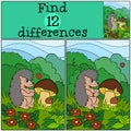 Children games: Find differences. Little cute hedgehog. Royalty Free Stock Photo