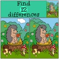 Children games: Find differences. Little cute hedgehog. Royalty Free Stock Photo