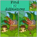 Children games: Find differences. Little cute hedgehog . Royalty Free Stock Photo