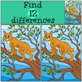 Children games: Find differences. Little cute lynx.