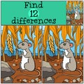Children games: Find differences. Little cute mouse.