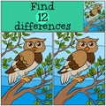 Children games: Find differences. Little cute owl.