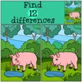 Children games: Find differences. Little cute pig.