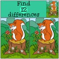 Children games: Find differences. Little cute squirre. Royalty Free Stock Photo