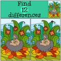 Children games: Find differences. Mother hedgehog holds the little cute baby hedgehog. Royalty Free Stock Photo