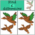 Children games: Find differences. Two little cute ducks.