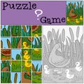 Children games: Puzzle. Mother duck with her ducklings.