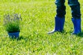 Children gardening. Kids legs and flower pot ready for planting