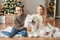 Children girl and boy with samoyed dog on christmas background