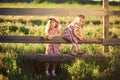 Children, girls in hat sitting on fence in village. walks in countryside