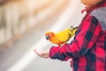 Children give a food for a bird in the park.