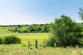 Children with grandfather walk in a field on a clear spring or summer day. They catch butterflies or insects with a butterfly net