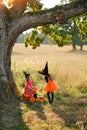 Children in Halloween witch costumes Royalty Free Stock Photo