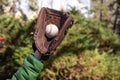 Children hand with baseglove holding baseball ball in blurred background. Royalty Free Stock Photo