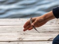 Children hand catches a small fish