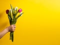 Children hand holding flowers on yellow background. Bouquet of white and pink tulips for Birthday, Happy mothers or Royalty Free Stock Photo