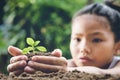 children hand holding small tree for planting in garden. concept Royalty Free Stock Photo