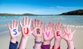 Children Hands Building Word Survey, Sea And Ocean Background Royalty Free Stock Photo