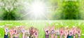 Children Hands Building Word Stronger Together, Grass Meadow