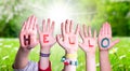 Children Hands Building Word Hello, Grass Meadow