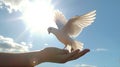 children hands carefully holding and releasing white dove