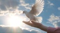 children hands carefully holding and releasing white dove Royalty Free Stock Photo