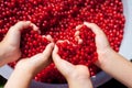 Children hands, holding red currant in the shape of heart Royalty Free Stock Photo