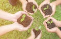 Children hands holding sapling in soil surface with plant Royalty Free Stock Photo