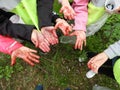 Children hands after picking blue berries Royalty Free Stock Photo