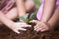 Children hands planting young tree on black soil together Royalty Free Stock Photo