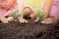 Children hands planting young tree on black soil together Royalty Free Stock Photo