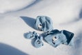 Children hat, scarf and gloves on the snow Royalty Free Stock Photo