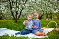 Children have lunch in the open air. A brother and sister with a picnic basket in a spring garden with blooming apple trees and Royalty Free Stock Photo