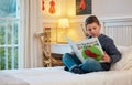 Children have a natural instinct for curiosity and discovery. a young boy reading a book about dinosaurs in a bedroom at Royalty Free Stock Photo