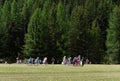 Children from the health camp relax in nature in the vicinity of the village of Aktash of the Altai Republic